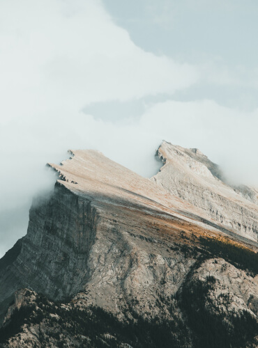 Website Development service 3